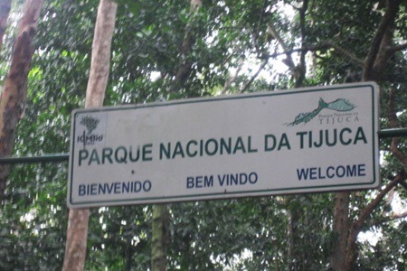 FLORESTA DA TIJUCA